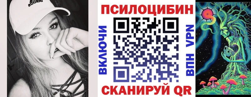 дарк нет телеграм  закладки  Можга  Галлюциногенные грибы мицелий 