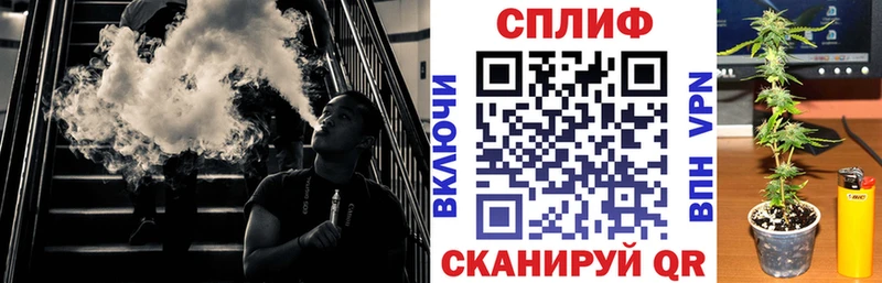Бошки Шишки Ganja  Можга 